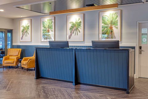 The Palmer Collective - Holiday Cairns 3