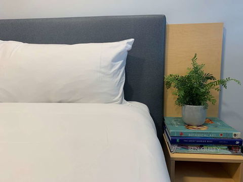 The Palmer Collective - Holiday Cairns 10