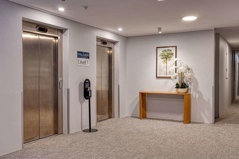 The Palmer Collective - Holiday Cairns 17