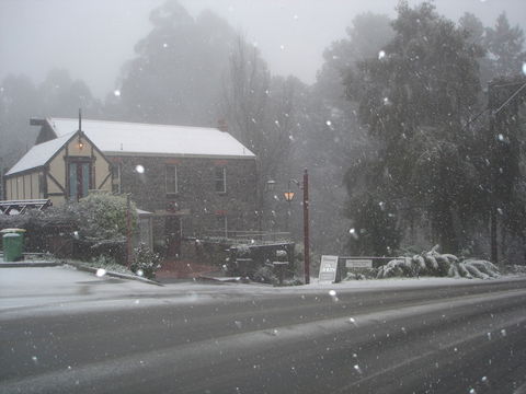 Adeline Bed & Breakfast - Holiday Cairns 1