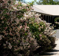 Wine Village Motor Inn - Holiday Cairns