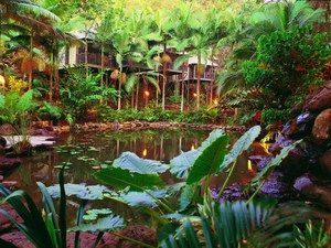 Daintree Eco Lodge & Spa - Holiday Cairns 0