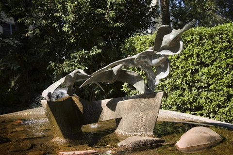 University House - ANU - Holiday Cairns 33
