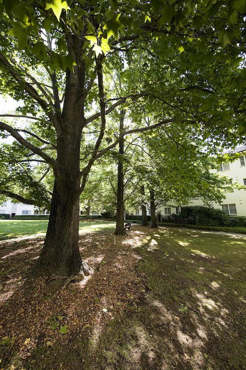 University House - ANU - Holiday Cairns 28
