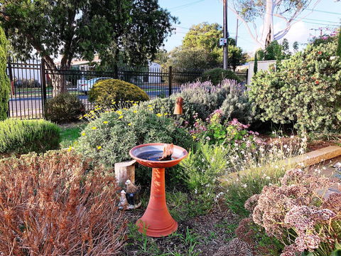 Beautiful Garden House - Holiday Cairns 21