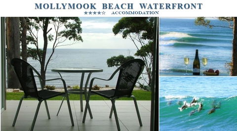 Mollymook Beach Waterfront - Holiday Cairns 1