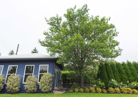 S T U D I O 22 Peaceful Retreat With Garden Views - Holiday Cairns 11