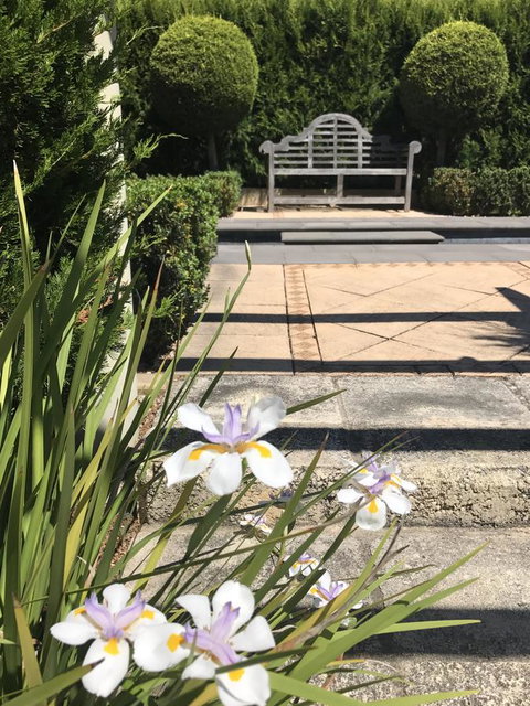 S T U D I O 22 Peaceful Retreat With Garden Views - Holiday Cairns 13