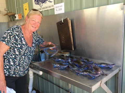 Ceduna Foreshore Caravan Park - Holiday Cairns 28