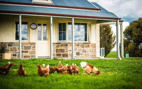 Barossa Vineyard Cottages - Holiday Cairns 40