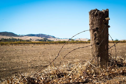 Barossa Vineyard Cottages - Holiday Cairns 5
