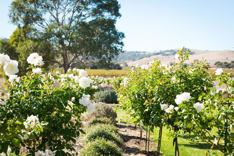 Barossa Vineyard Cottages - Holiday Cairns 1
