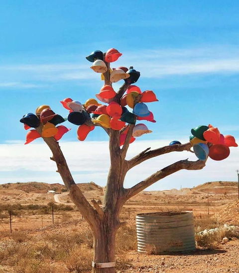 Aussie Opal Diggers Outback Retreat-Undergound - Holiday Cairns 29