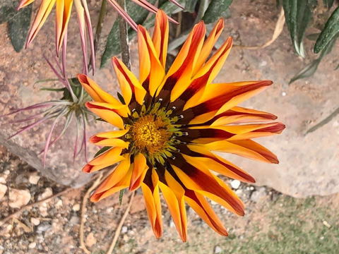 Aussie Opal Diggers Outback Retreat-Undergound - Holiday Cairns 26