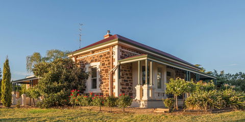 Barossa Shiraz Estate - Holiday Cairns 7