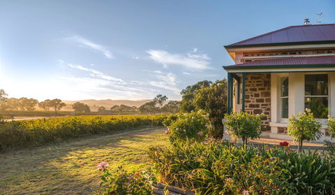 Barossa Shiraz Estate - Holiday Cairns 6