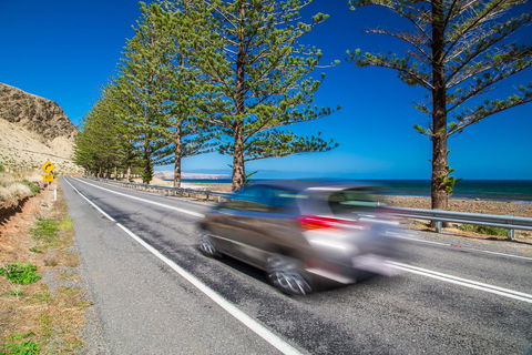 Lady Bay Hotel - Holiday Cairns 26