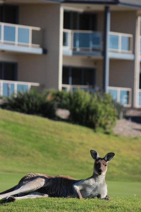 Lady Bay Hotel - Holiday Cairns 16