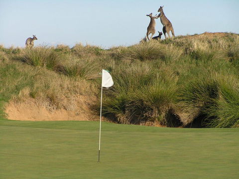 Lady Bay Hotel - Holiday Cairns 17