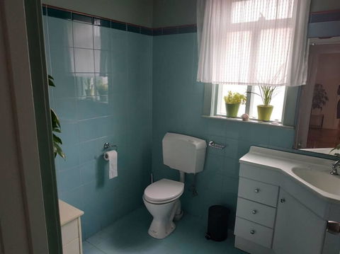 Diamond On Olive - Holiday Cairns 1