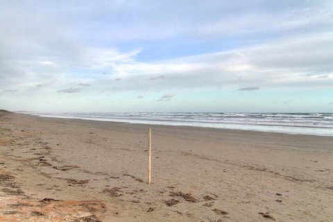 SeaWatch-Sea Views - Holiday Cairns 6