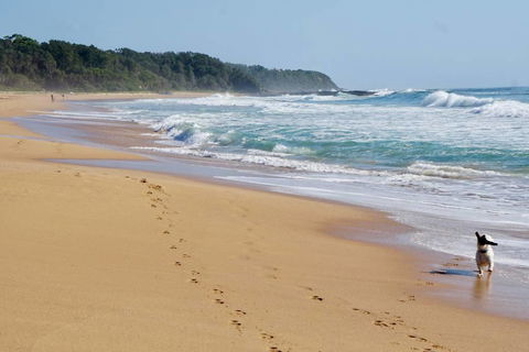Culburra Beachhouse - Holiday Cairns 7
