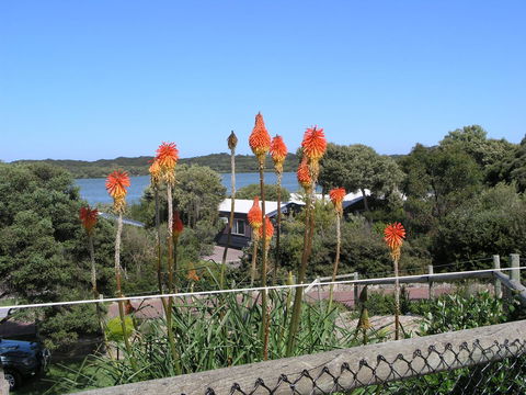 Lakeside Tourist Park - Holiday Cairns 3