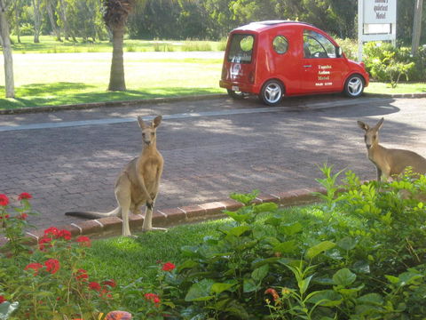 Aston Motel Yamba - Holiday Cairns 6