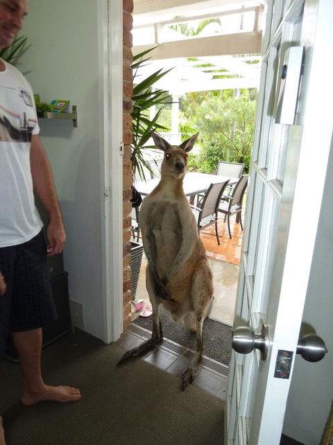 Aston Motel Yamba - Holiday Cairns 10