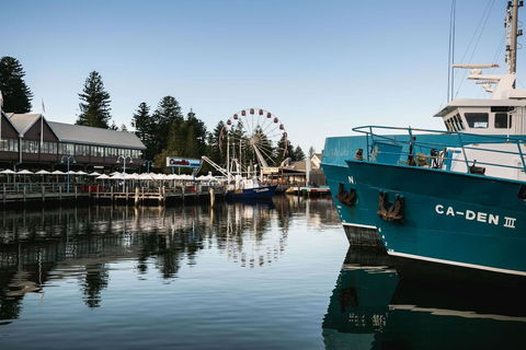 Oceanside 23 - Holiday Cairns 25