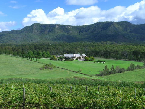 Grapevines Boutique Accommodation - Holiday Cairns 23