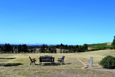 Grapevines Boutique Accommodation - Holiday Cairns 18