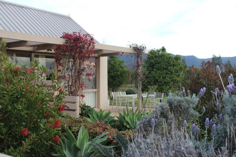 Grapevines Boutique Accommodation - Holiday Cairns 28