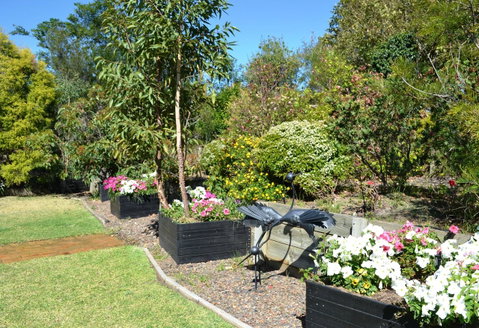 Grapevines Boutique Accommodation - Holiday Cairns 17