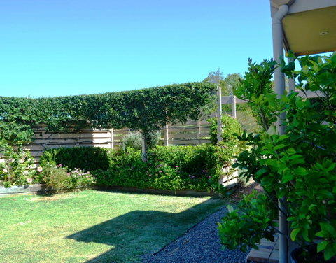 Grapevines Boutique Accommodation - Holiday Cairns 14
