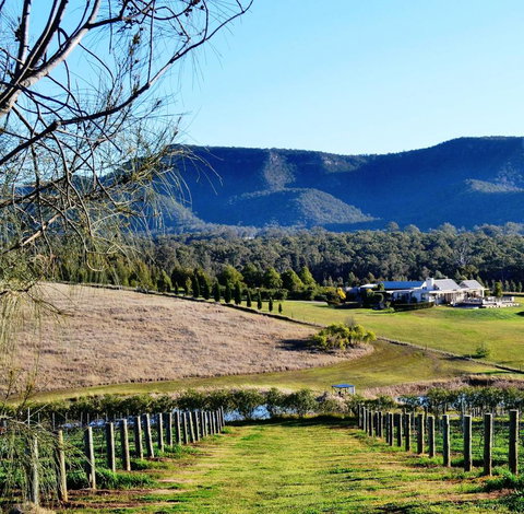 Grapevines Boutique Accommodation - Holiday Cairns 5