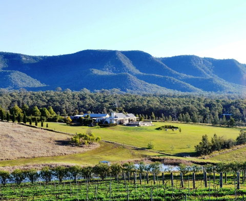 Grapevines Boutique Accommodation - Holiday Cairns 0