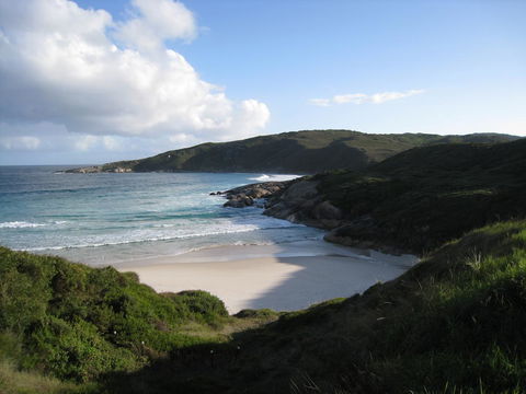 Albany Motel & Apartments - Holiday Cairns 23