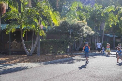 The Palms At Avoca - Holiday Cairns 14