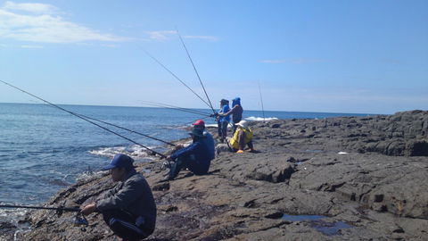 Sweet Spot Shellharbour - Holiday Cairns 13