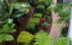 Flynns Beach Resort - thumb 17