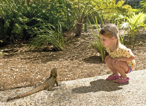 Flynns Beach Resort - Holiday Cairns 16