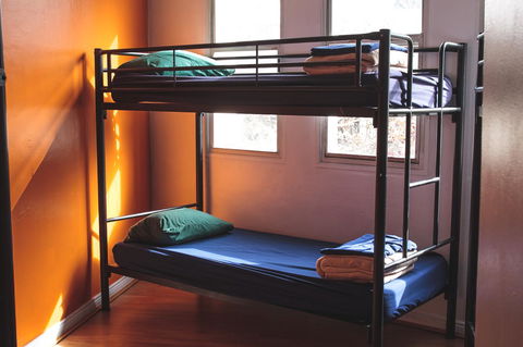 Mad Monkey Kings Cross - Holiday Cairns 29