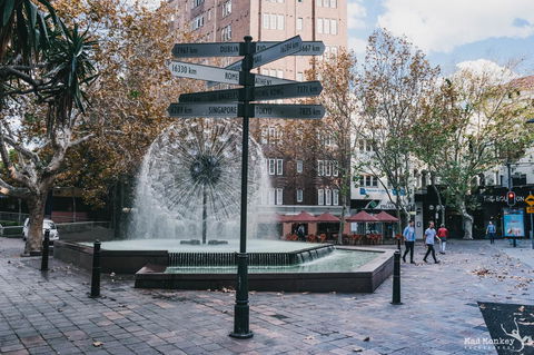 Mad Monkey Kings Cross - Holiday Cairns 2