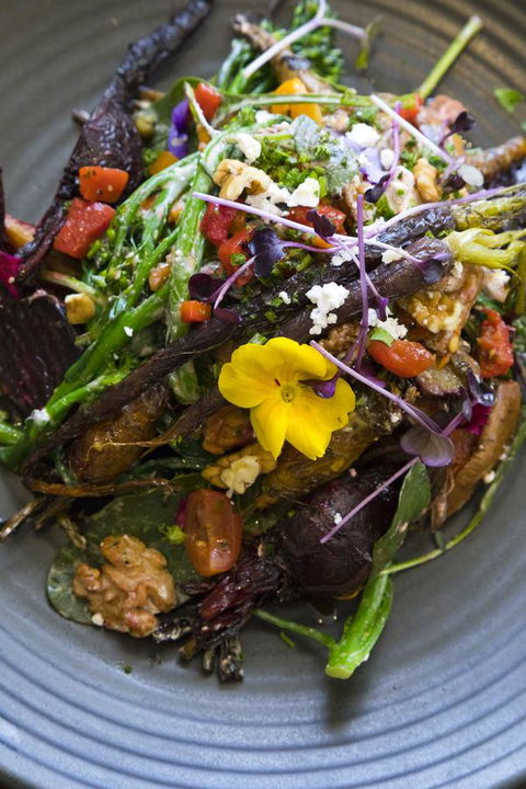 Sage Hotel Wollongong - Holiday Cairns 21