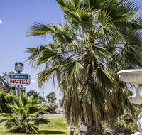Allonville Gardens Motel - Holiday Cairns