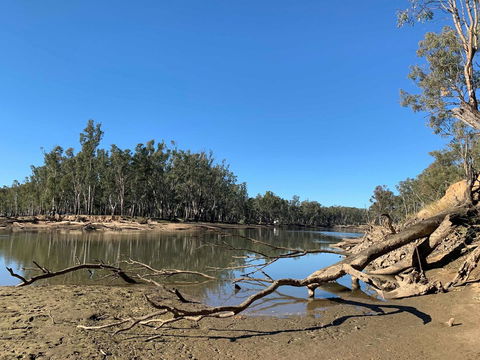 Corowa Bindaree Holiday Park - Holiday Cairns 1
