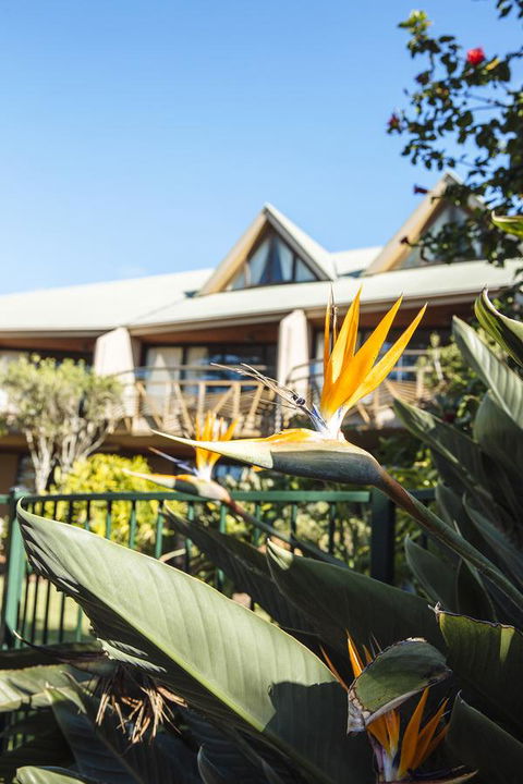 Beach Hotel Resort - Holiday Cairns 36