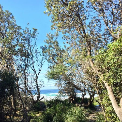 Salthouse Berrara - Holiday Cairns 22