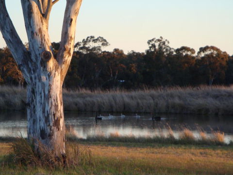 Adina Vineyard - Holiday Cairns 10